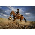 Nikon Z7 Mark II (Σώμα) — 2399€ Photo Emporiki