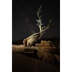 Nikon Z7 Mark II (Σώμα) — 2399€ Photo Emporiki