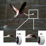 Sony FE 200-600mm f/5.6-6.3 G OSS — 1849€ Photo Emporiki