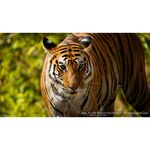 Sony FE 200-600mm f/5.6-6.3 G OSS — 1849€ Photo Emporiki