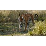 Sony FE 200-600mm f/5.6-6.3 G OSS — 1849€ Photo Emporiki