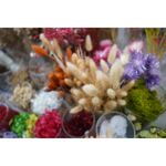 Sony FE 24mm f/2.8 G — 639€ Photo Emporiki