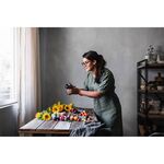 Nikon Z5 Kit (Z 24-70mm f/4 S) — 1799€ Photo Emporiki