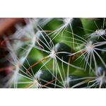 Nikon Z fc (Silver) Kit (Z 28mm f/2.8 SE) — 1099€ Photo Emporiki