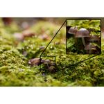 Sony FE 50mm f/1.2 GM Φακός — 2199€ Photo Emporiki