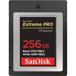 SanDisk 256GB Extreme PRO CFexpress Card Type B — 435€ Photo Emporiki