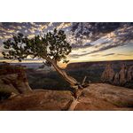 Nikon Z7 Mark II Kit (Z 24-70mm f/4 S) — 2999€ Photo Emporiki