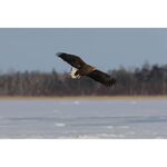 Canon EOS R7 (Body) — 1249€ Photo Emporiki