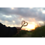 Samyang AF 24-70mm f/2.8 FE (Sony E-Mount) Φακός — 799€ Photo Emporiki