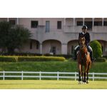 Canon EOS R6 Mark II Mirrorless Camera (Body) — 1799€ Photo Emporiki