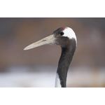 Sony FE 100-400mm f/4.5-5.6 GM OSS Φακός — 2559€ Photo Emporiki