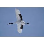 Sony FE 100-400mm f/4.5-5.6 GM OSS Φακός — 2559€ Photo Emporiki