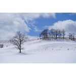 Sony FE 100-400mm f/4.5-5.6 GM OSS Φακός — 2559€ Photo Emporiki