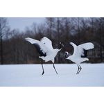 Sony FE 100-400mm f/4.5-5.6 GM OSS Φακός — 2559€ Photo Emporiki