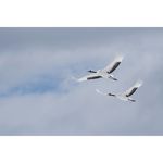 Sony FE 100-400mm f/4.5-5.6 GM OSS Φακός — 2559€ Photo Emporiki