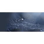 Sony FE 90mm f/2.8 Macro G OSS Φακός — 879€ Photo Emporiki