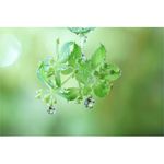 Sony FE 90mm f/2.8 Macro G OSS Φακός — 879€ Photo Emporiki