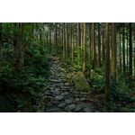 Sony FE 24-105mm f/4 G OSS Φακός — 1099€ Photo Emporiki