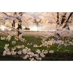 Sony FE 50mm f/1.4 ZA Planar T* Φακός — 1599€ Photo Emporiki