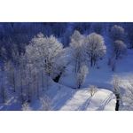 Sony FE 50mm f/1.4 ZA Planar T* Φακός — 1599€ Photo Emporiki