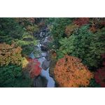 Sony FE 16-35mm f/2.8 GM Φακός — 2240€ Photo Emporiki