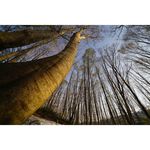 Sony FE 16-35mm f/2.8 GM Φακός — 2240€ Photo Emporiki