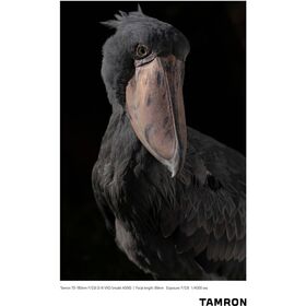 Tamron 70-180mm f/2.8 Di III VXD Φακός για Sony E Mount — 1050€ Photo Emporiki