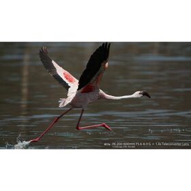 Sony FE 200-600mm f/5.6-6.3 G OSS — 1849€ Photo Emporiki