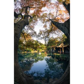 7artisans 7.5mm f/2.8 Mark II Photoelectric Fisheye (MFT) — 162€ Photo Emporiki