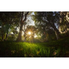 7artisans 7.5mm f/2.8 Mark II Photoelectric Fisheye (MFT) — 162€ Photo Emporiki