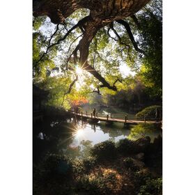 7artisans 7.5mm f/2.8 Mark II Photoelectric Fisheye (Canon EF-M) — 162€ Photo Emporiki