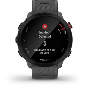 Garmin Forerunner 55 grau — 175€ Photo Emporiki