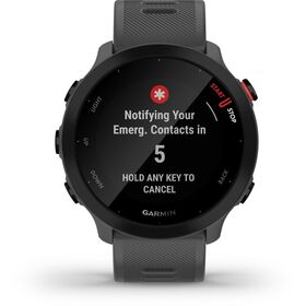 Garmin Forerunner 55 grau — 175€ Photo Emporiki