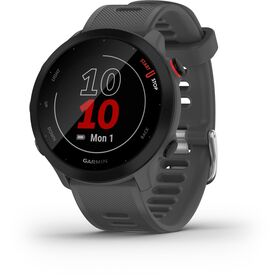 Garmin Forerunner 55 grau — 175€ Photo Emporiki