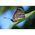 Canon EF 100mm f/2.8L Macro IS USM Φακός — 998€ Photo Emporiki