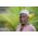 Nikon Z 24-200mm f/4-6.3 VR Φακός — 999€ Photo Emporiki