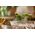 Nikon Z DX 18-140mm f/3.5-6.3 VR Lens — 649€ Photo Emporiki