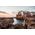 Nikon Z DX 18-140mm f/3.5-6.3 VR Lens — 649€ Photo Emporiki