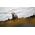 Canon RF 70-200mm f/4L IS USM — 1785€ Photo Emporiki