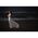 Canon RF 135mm f/1.8 L IS USM — 2599€ Photo Emporiki